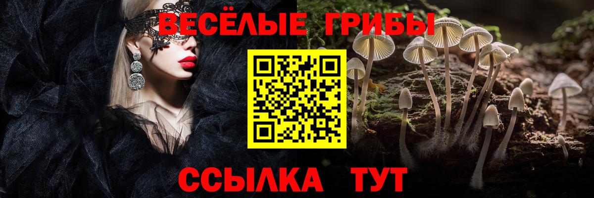Галлюциногенные грибы мицелий  Вход с VPN  Галлюциногенные грибы Psilocybine cubensis  Апрелевка 